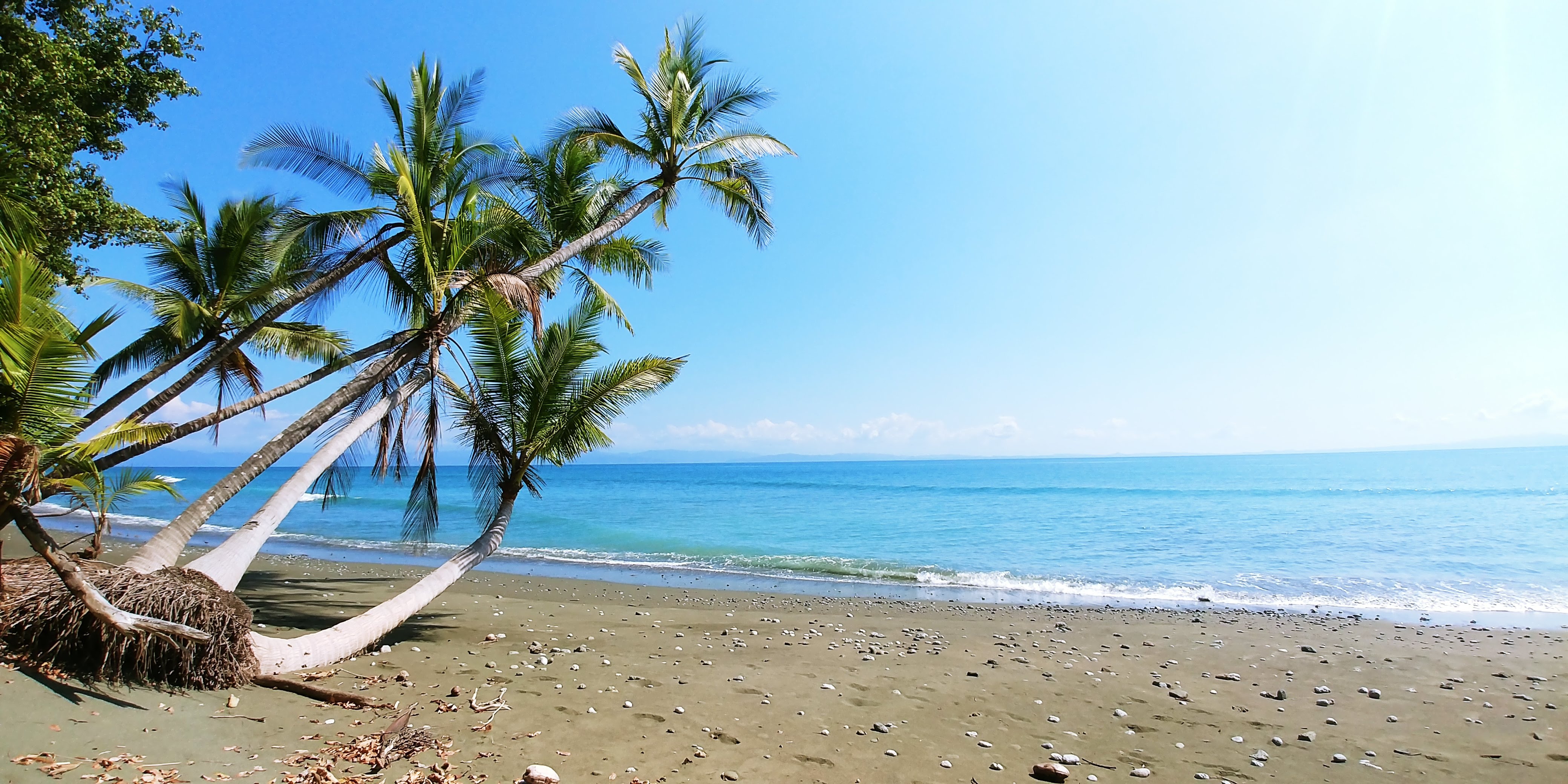 Costa Rica Nature
