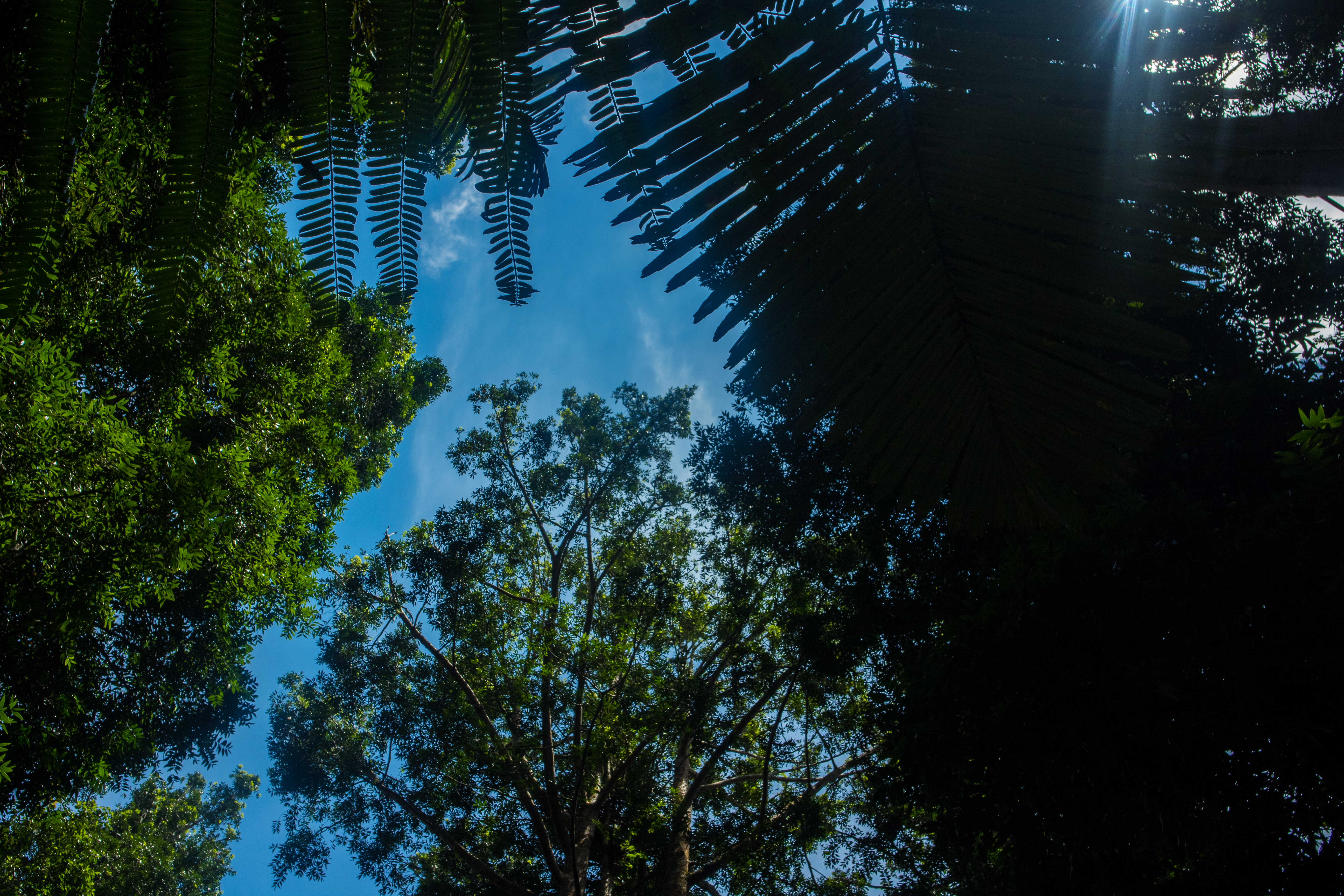 Costa Rica Nature