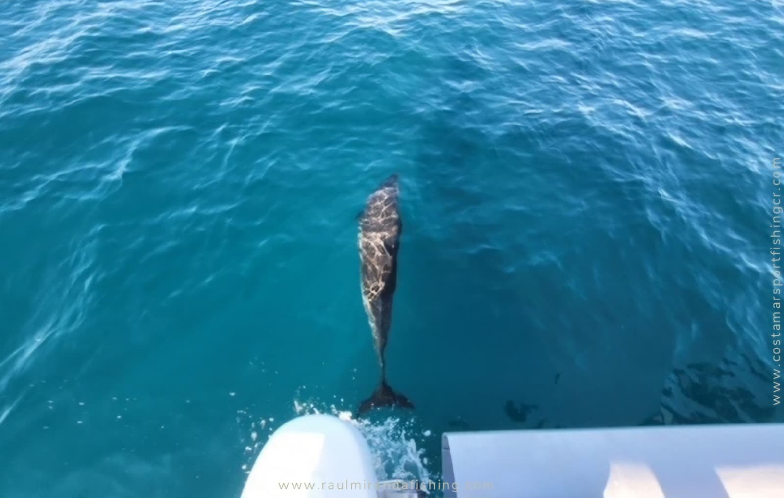 Venti Venti – Private Sailing Catamaran Tour