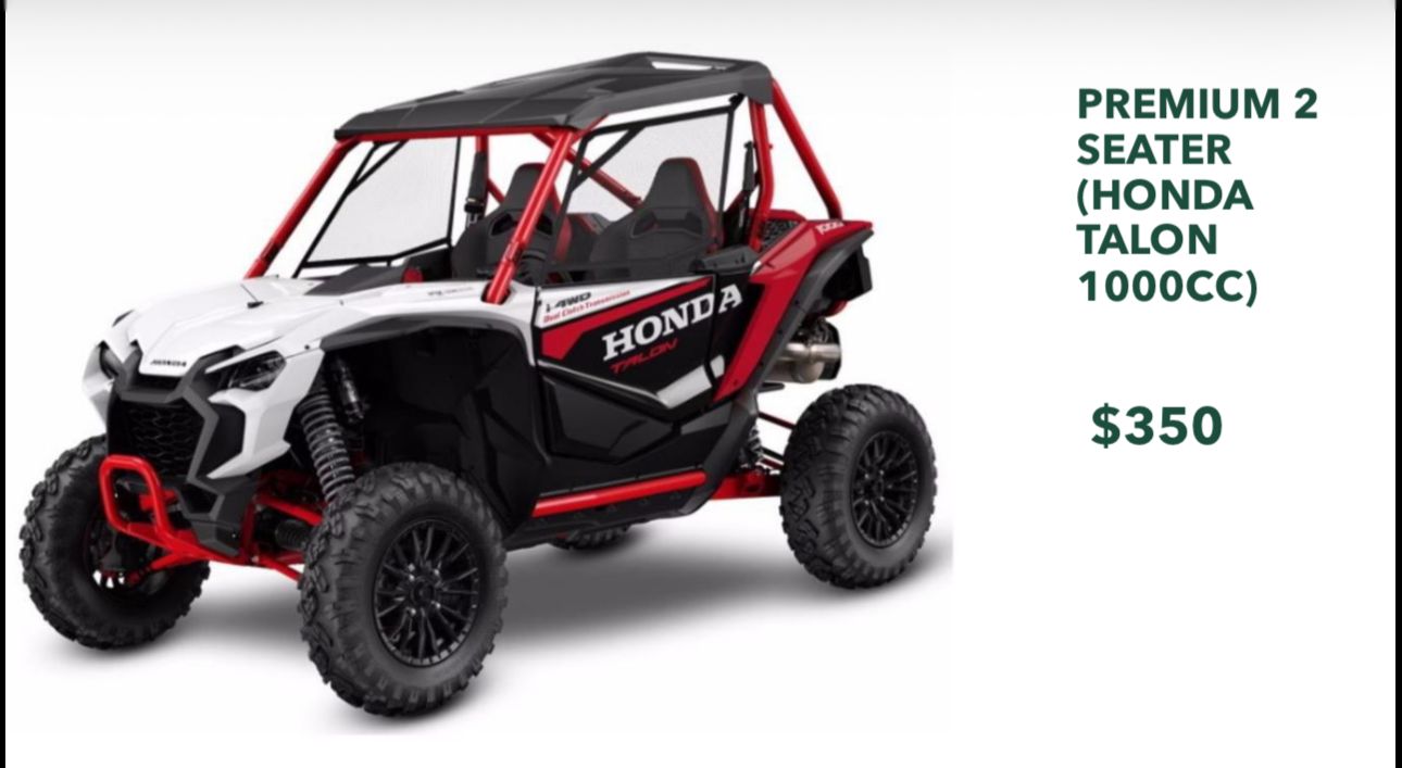 AWD Honda Premium 2 Seater (Honda Talon 1000cc)