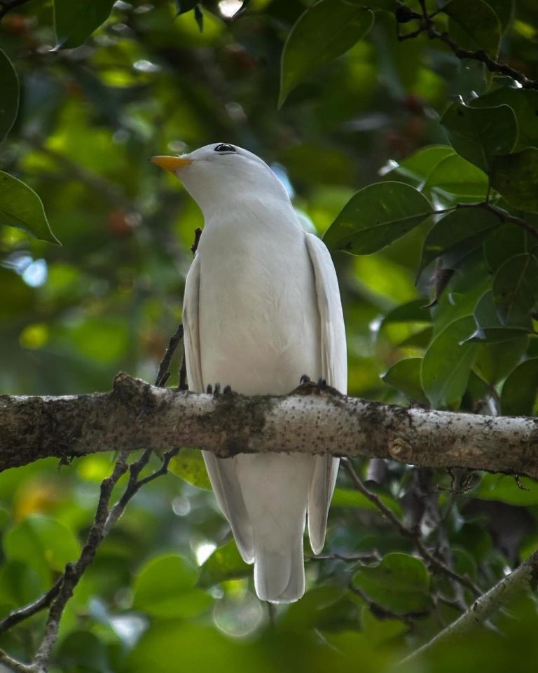 Tour Photo