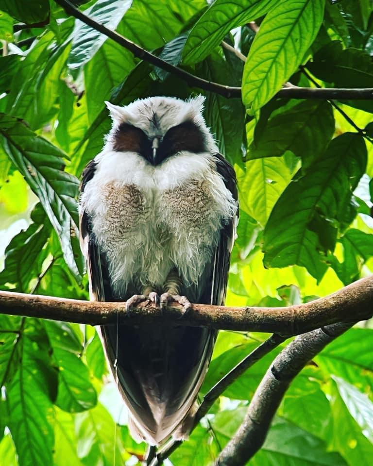 Birdwatching Tour