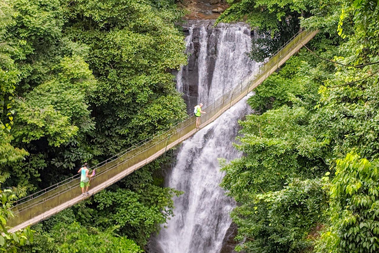 Los Campesinos Waterfall Tour