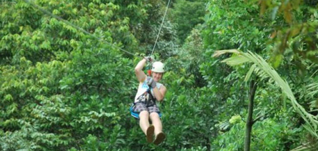 Canopy Zipline