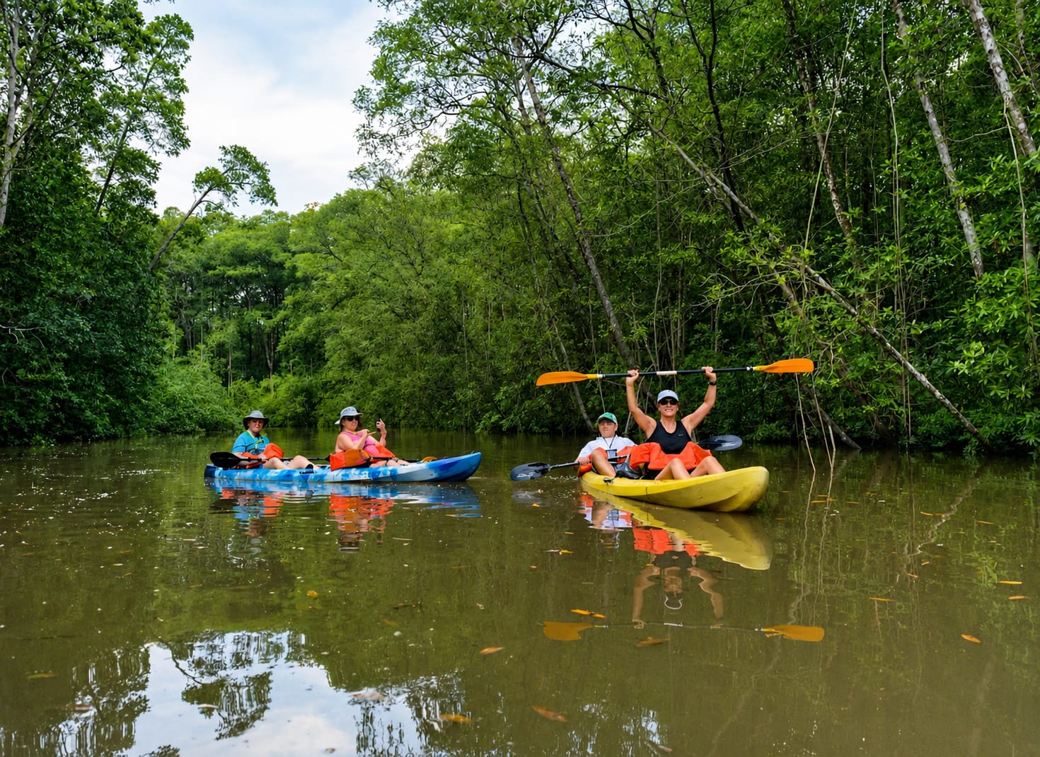 Mangrove Kayak