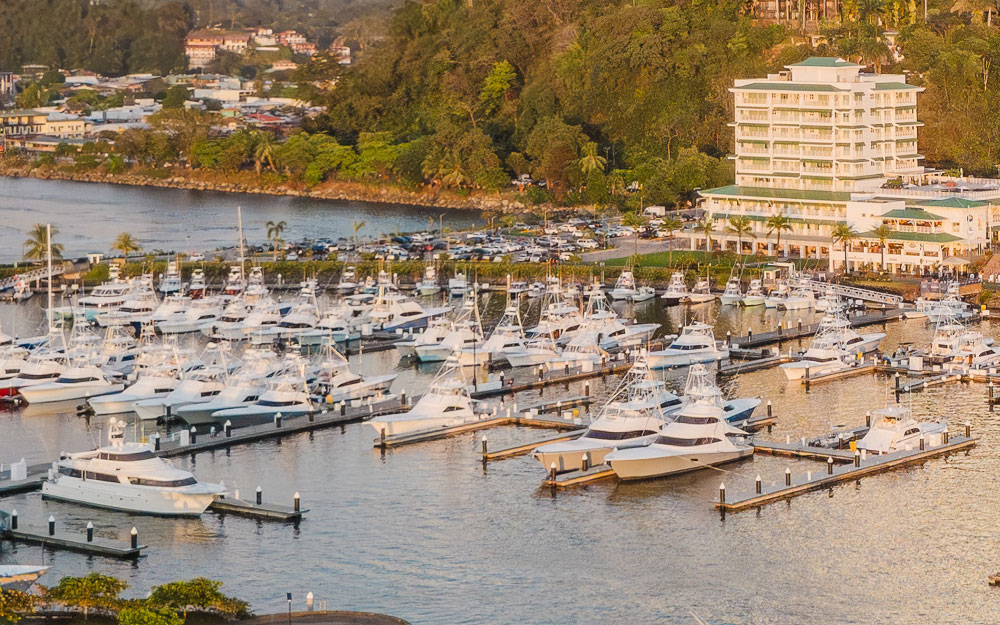 Yacht or Catamaran Tour – Marina Pez Vela