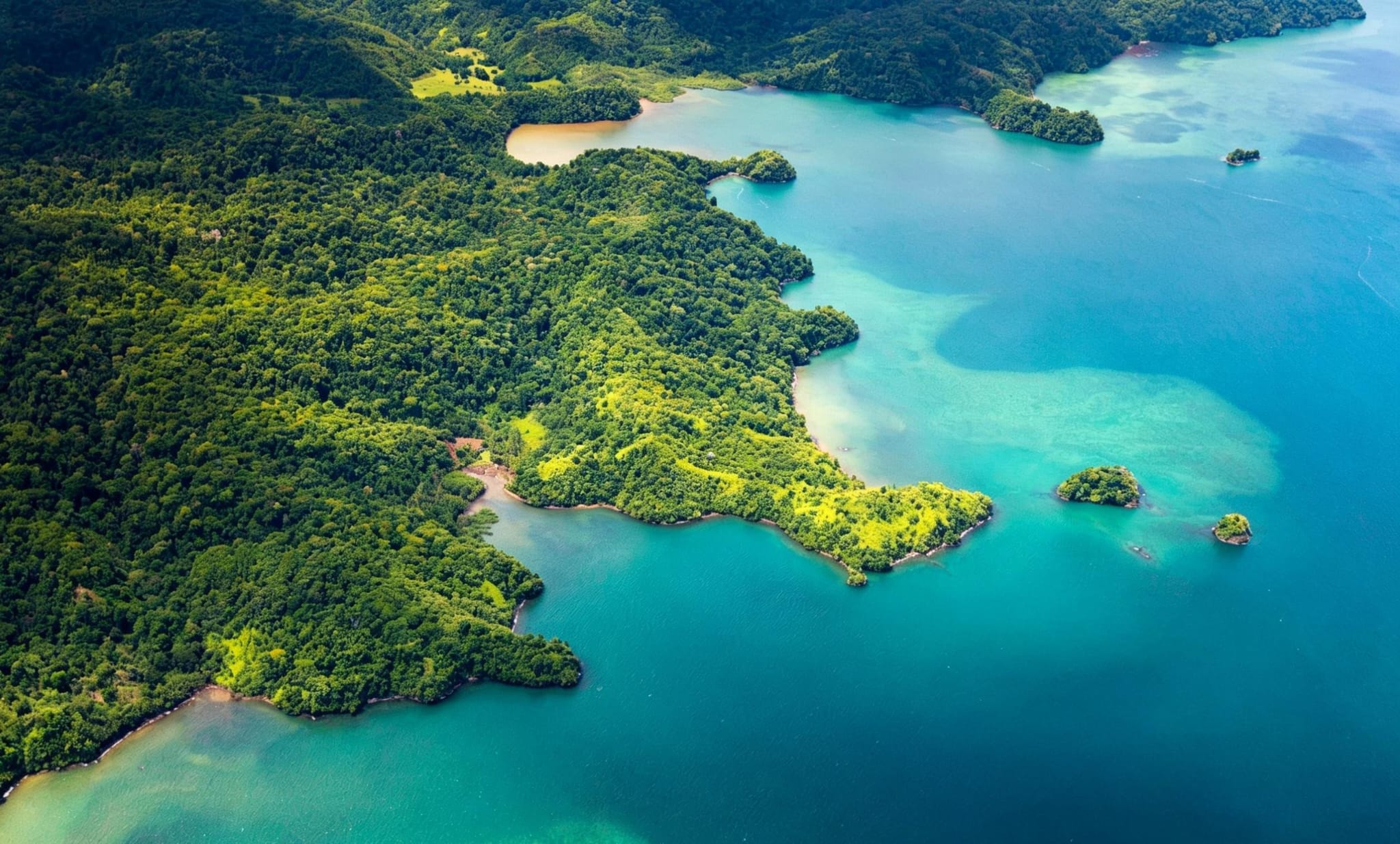 Puerto Jimenez & Corcovado national park