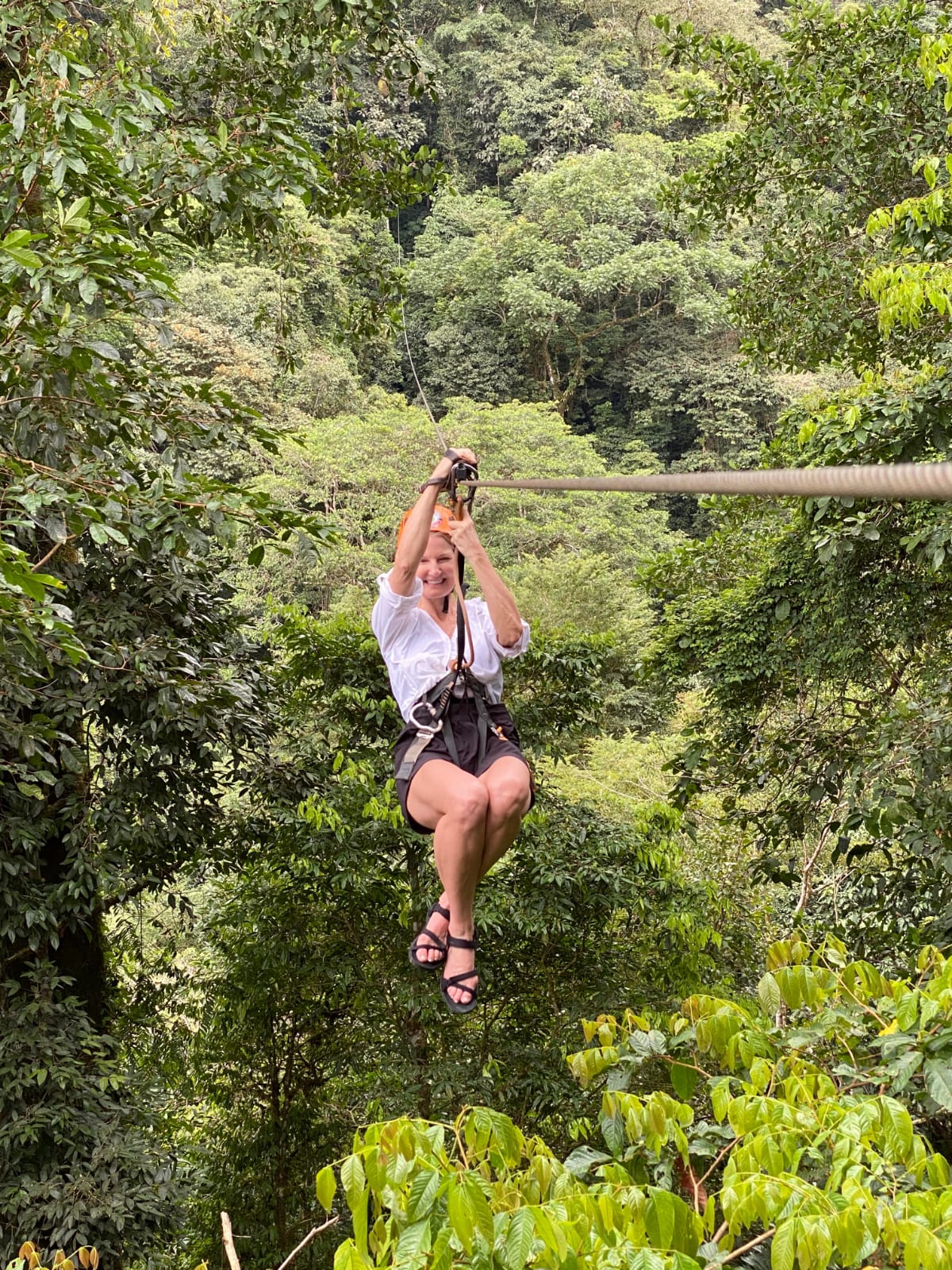 ZIP-LINE